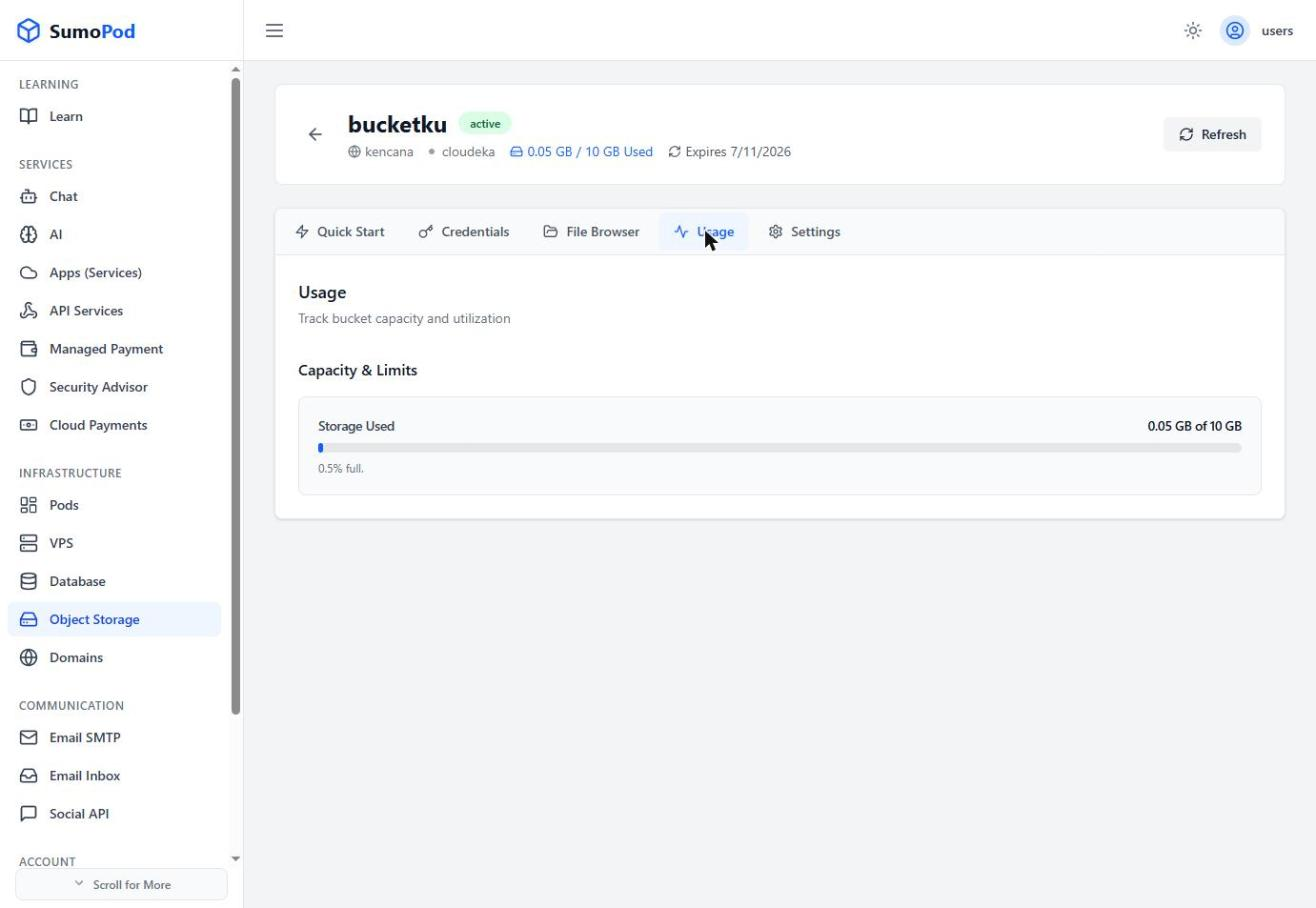 The bucket Usage tab showing Storage Used against the plan limit