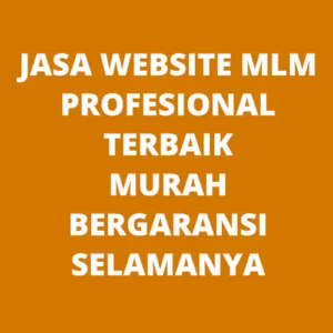 Jasa Pembuatan Website MLM Binjai