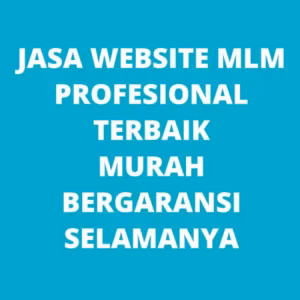 Jasa Pembuatan Website MLM Makassar
