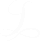 logo.white