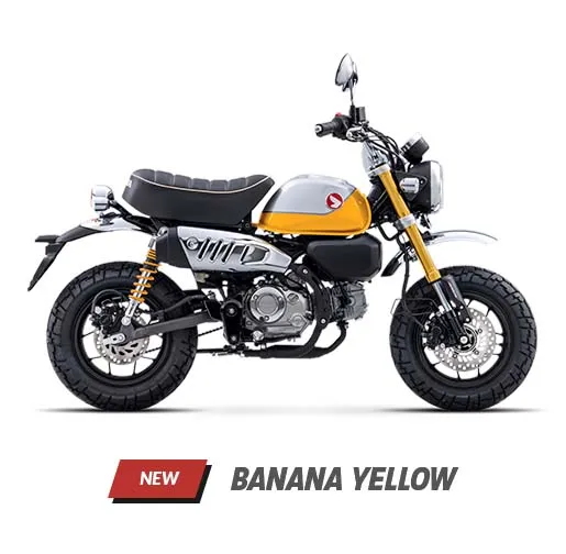 Varian Warna Honda Monkey