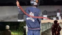 Viral Video Remaja Diduga Tawuran Bersenjata Tajam di Pekalongan, Pemerintah Diminta Bergerak Cepat Viral Video Remaja Diduga Tawuran Bersenjata Tajam di Pekalongan, Pemerintah Diminta Bergerak Cepat