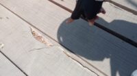 Papan Kayu Jembatan di Pekalongan Retak, Proyek Rp140 Juta Disorot