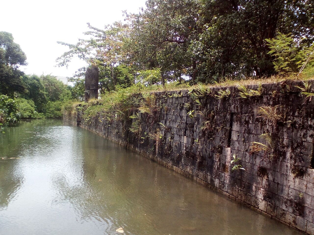 jpeg.hp himax 272
