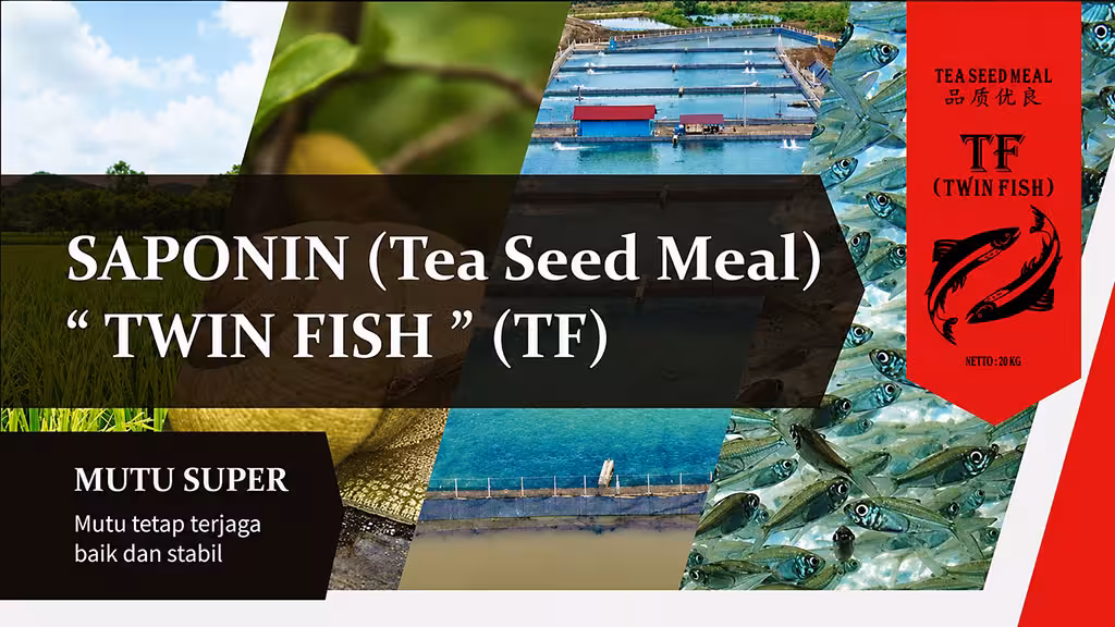 Banner Saponin Twin Fish